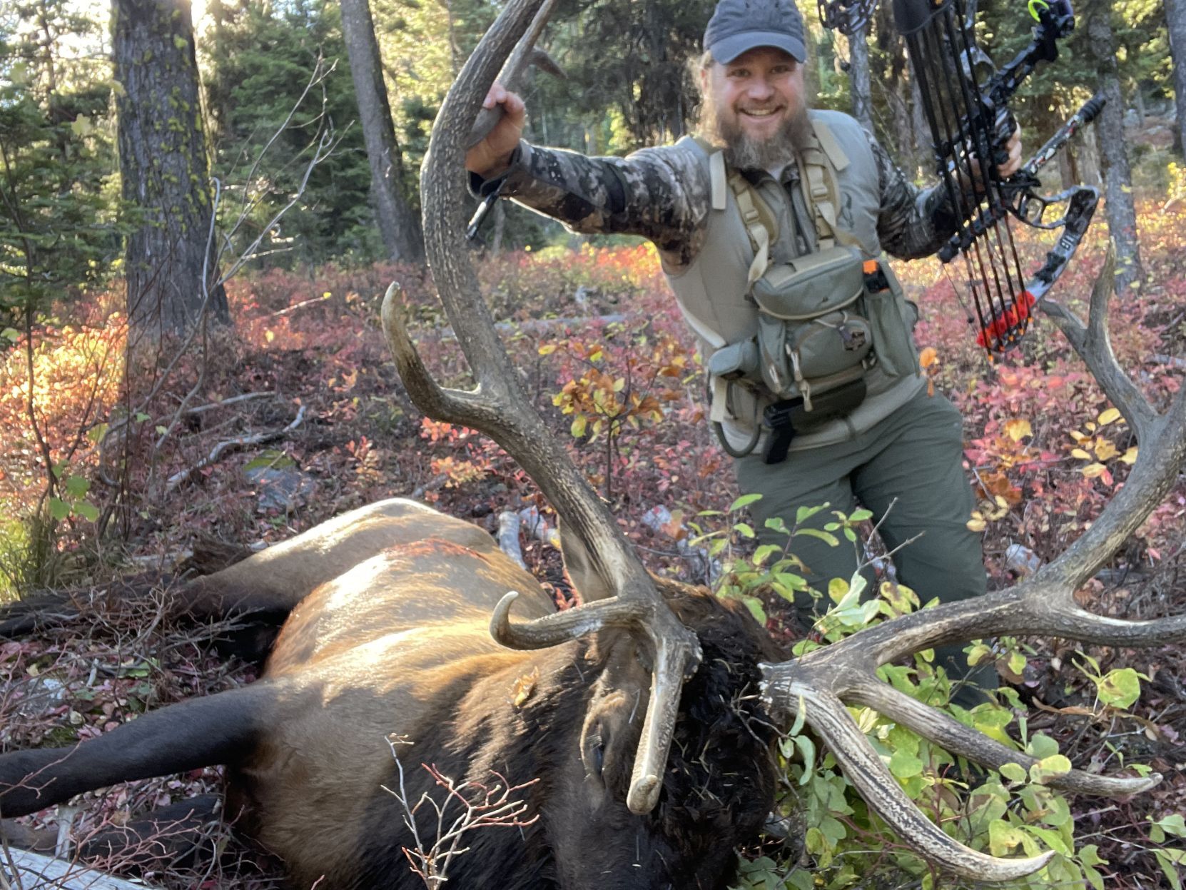 Your photos: Hunt